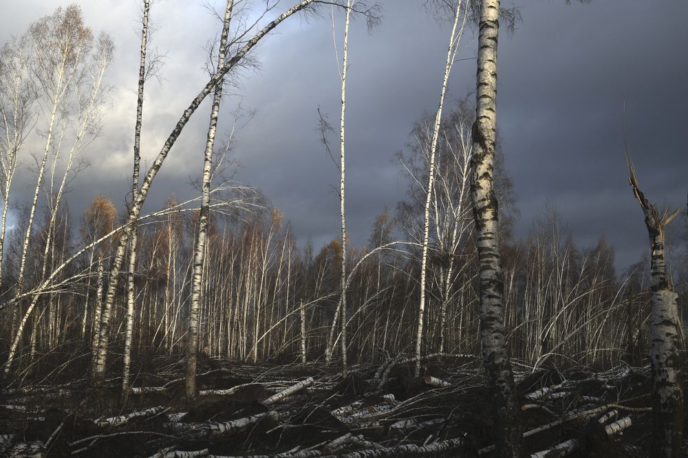 Photograph by Леонид Безручко