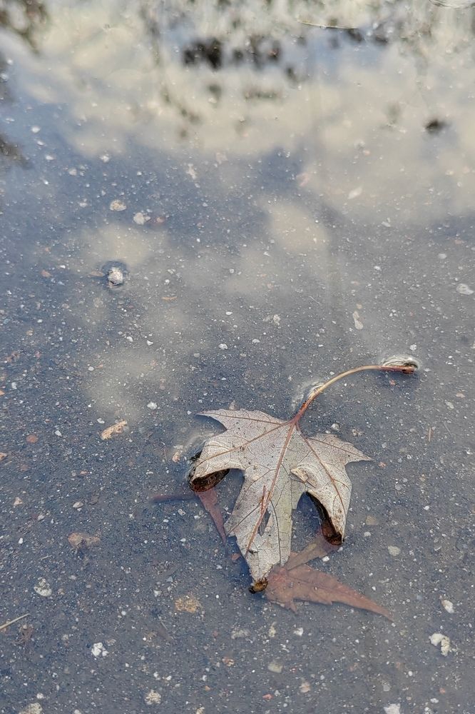 Последний лист