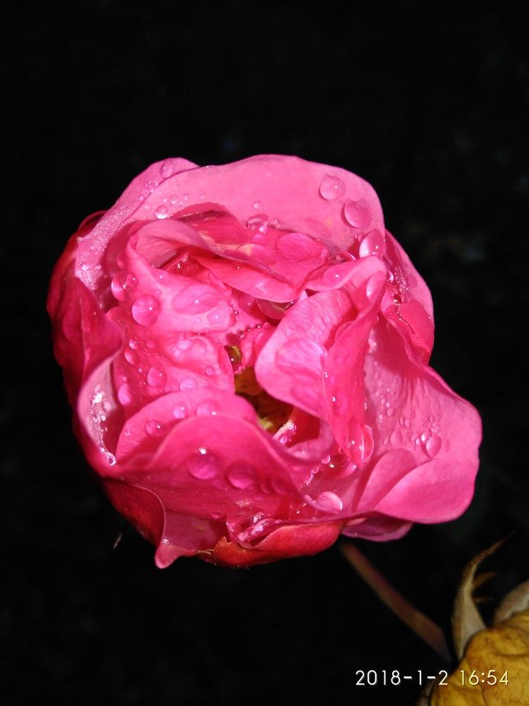 Photograph by Ольга Самылкина