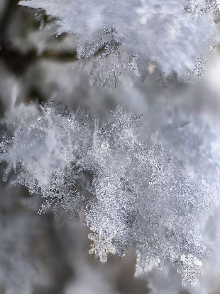 Photograph by Ольга Адольф