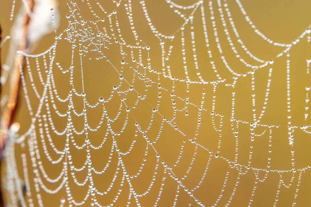 Photograph by Ivan Smorkalov