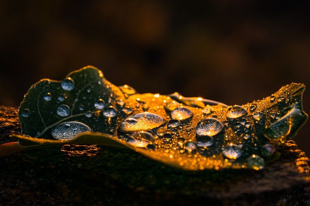 Photograph by Виктория Лобанова