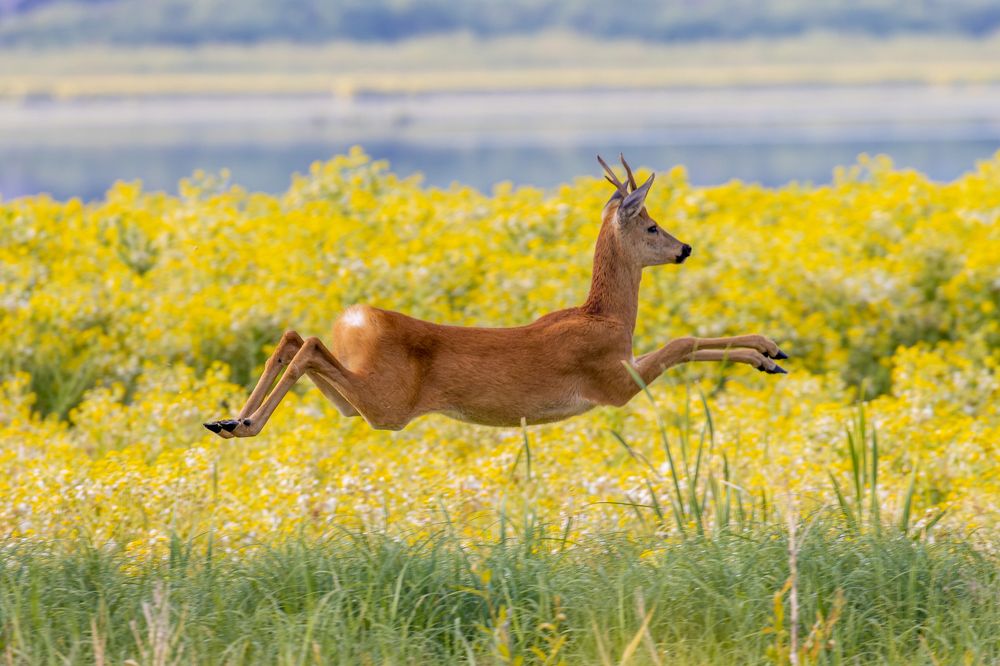 Photograph by Ivan Smorkalov