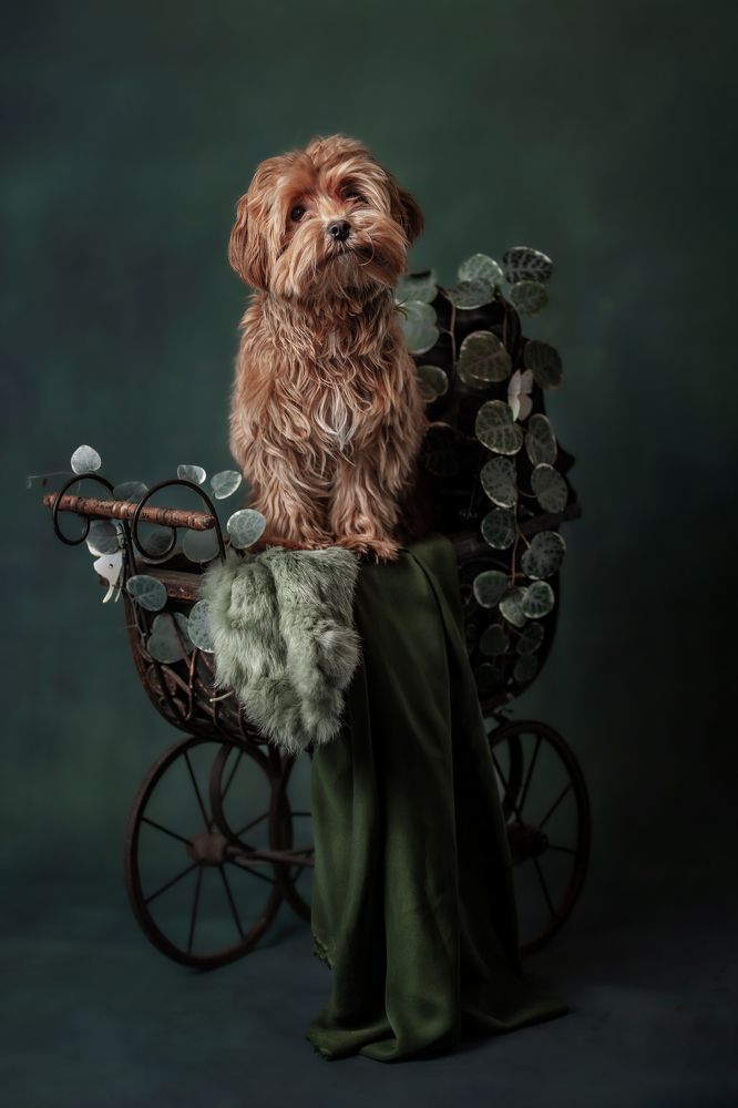 Photograph by Goené Gertrude