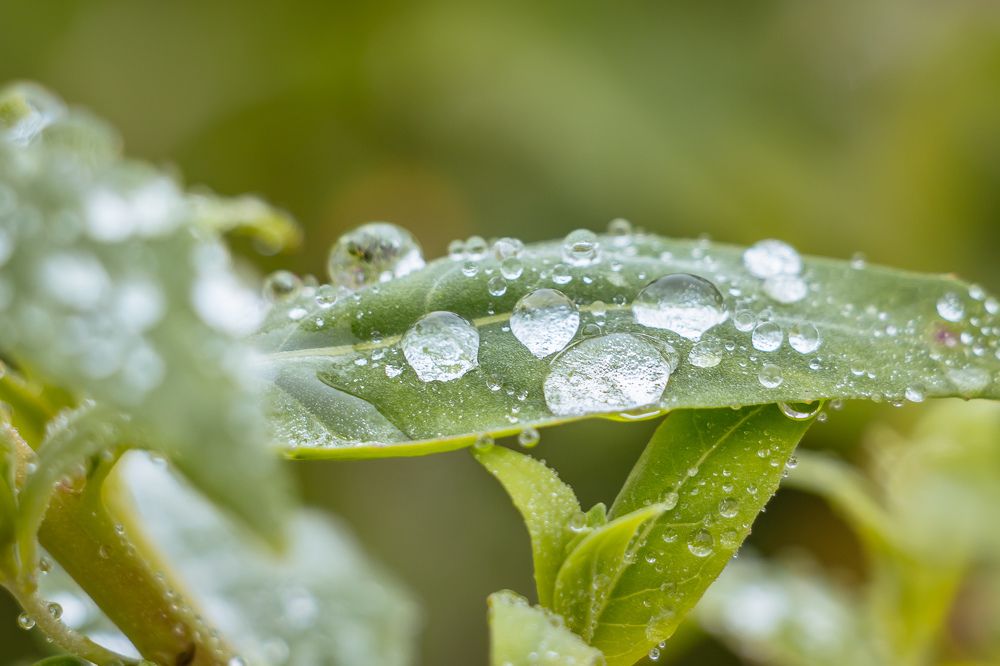 Photograph by Олег Дьяконов