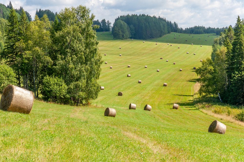 Photograph by Ivan Smorkalov