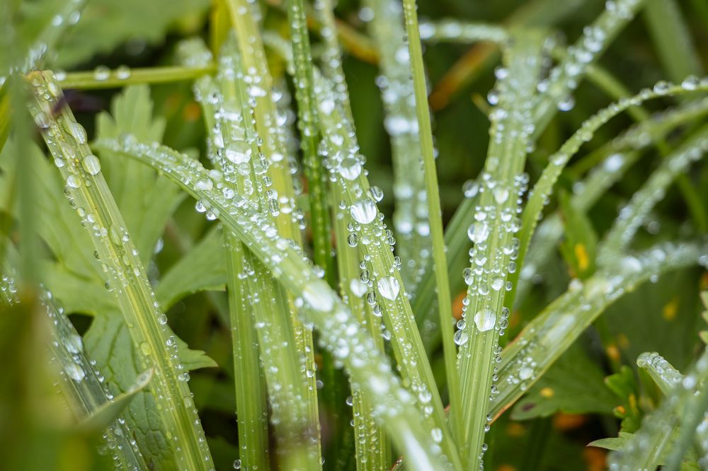 Photograph by Олег Дьяконов