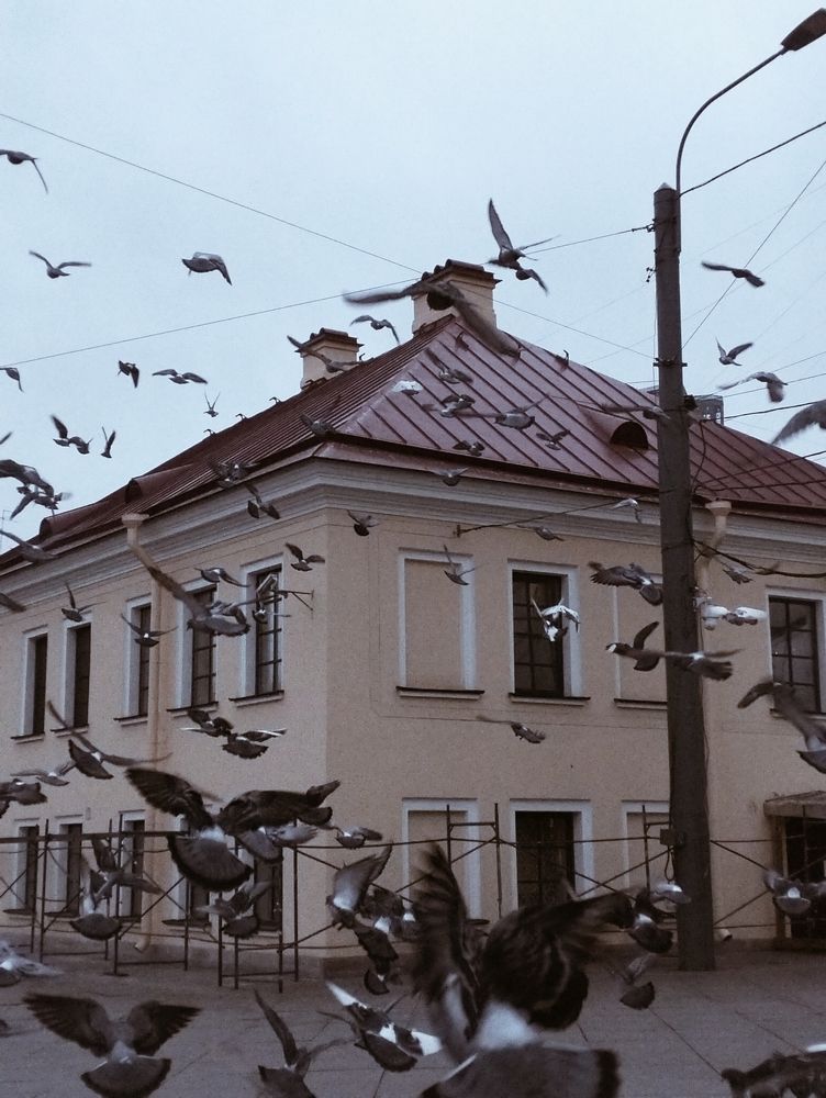 Photo #11480550