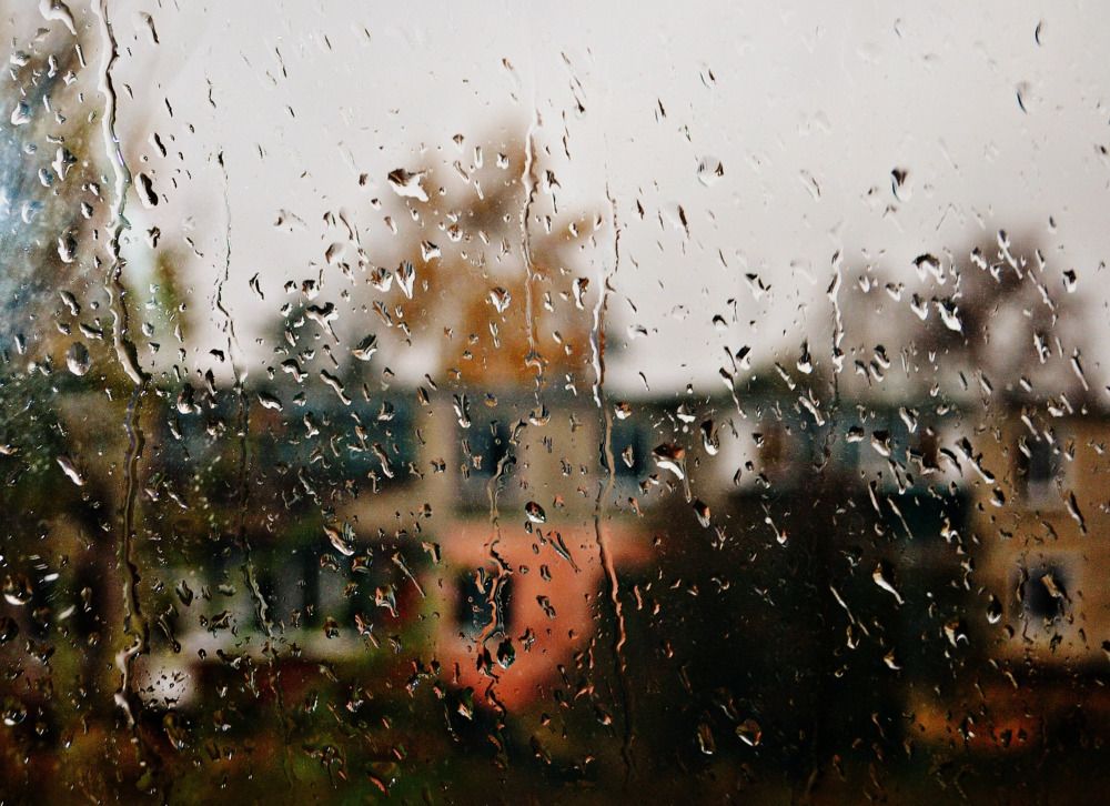 Photograph by Elen Sheina