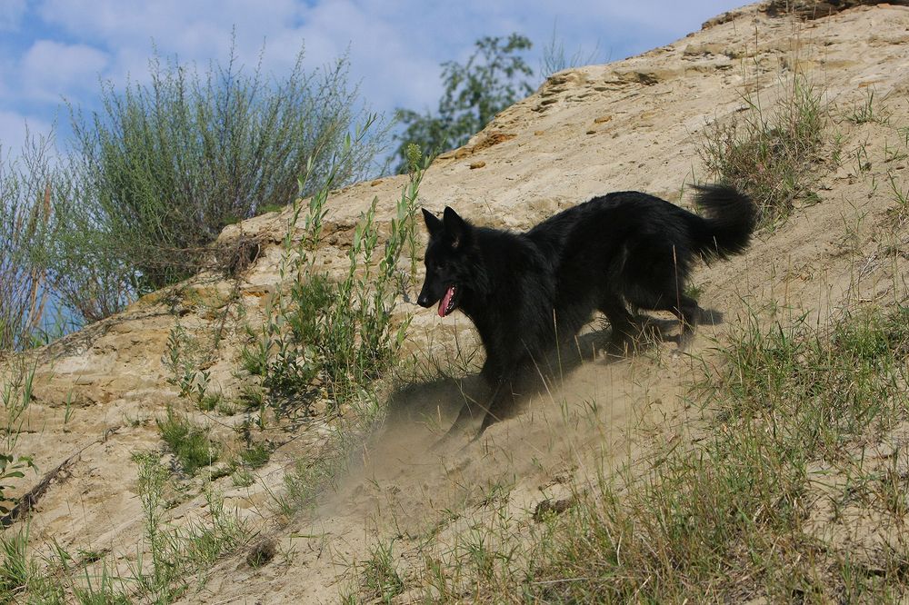 Фотография автора Надежда Лисицына