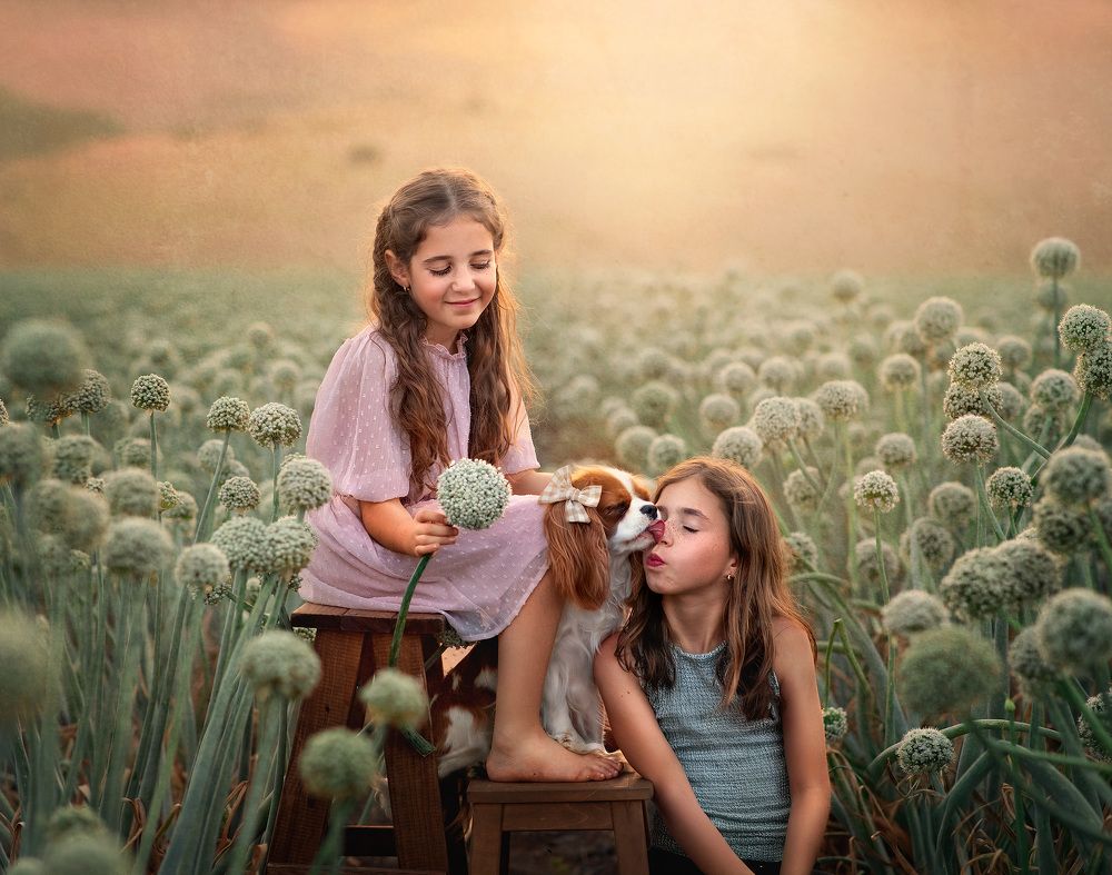 Photograph by Hamutal Avioz