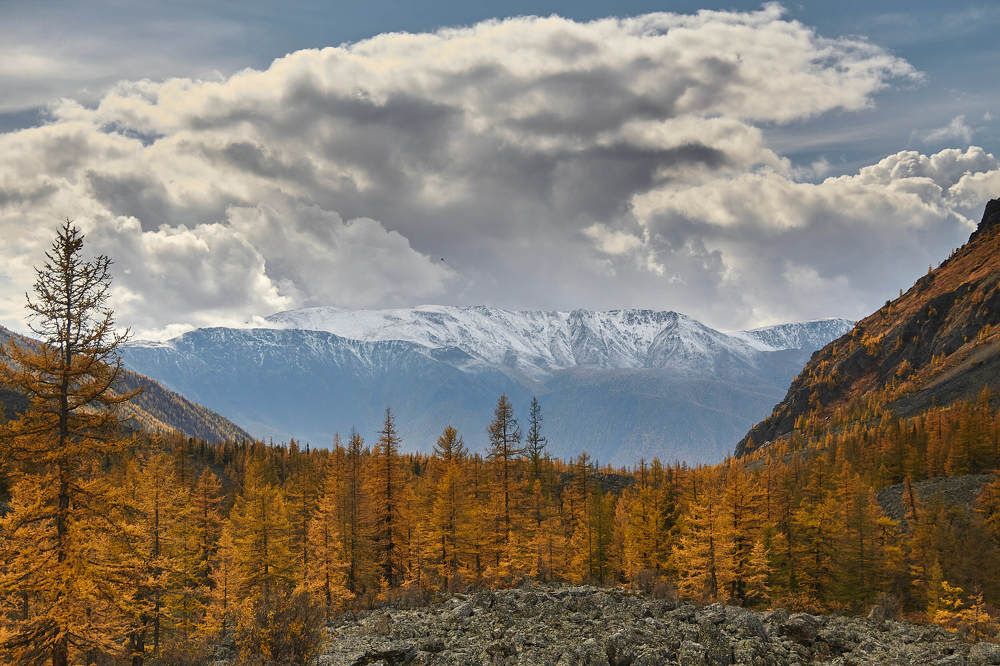 Фотография автора Виталий Кузнецов