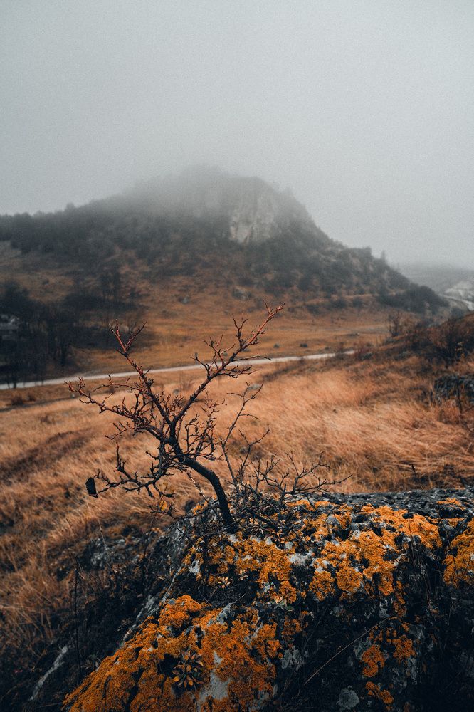 Фотография автора Oleg Suhenko