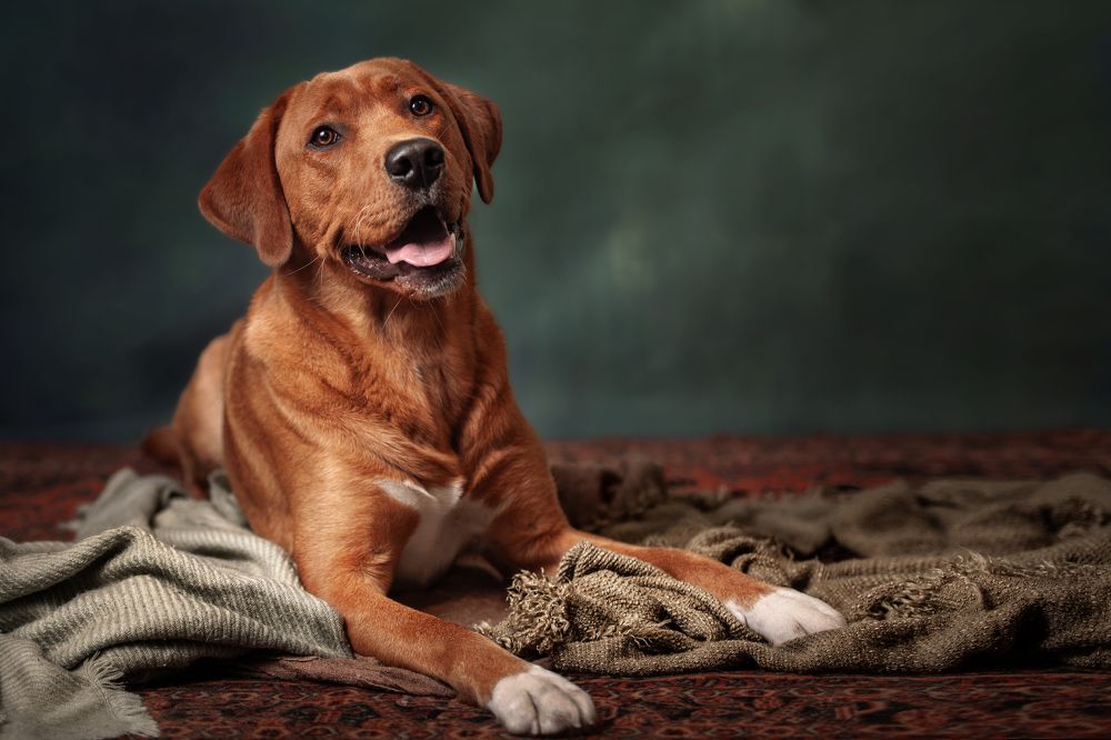 Photograph by Goené Gertrude