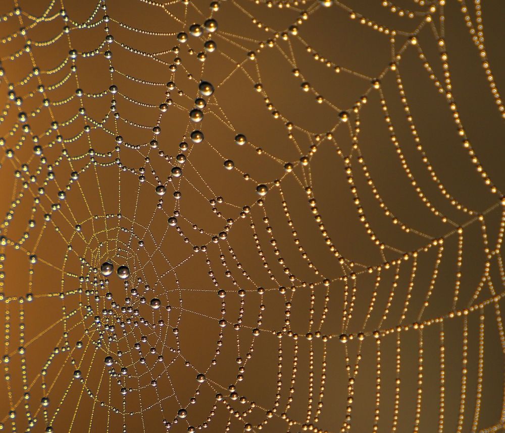 Photograph by PERESHEIN ANDREY