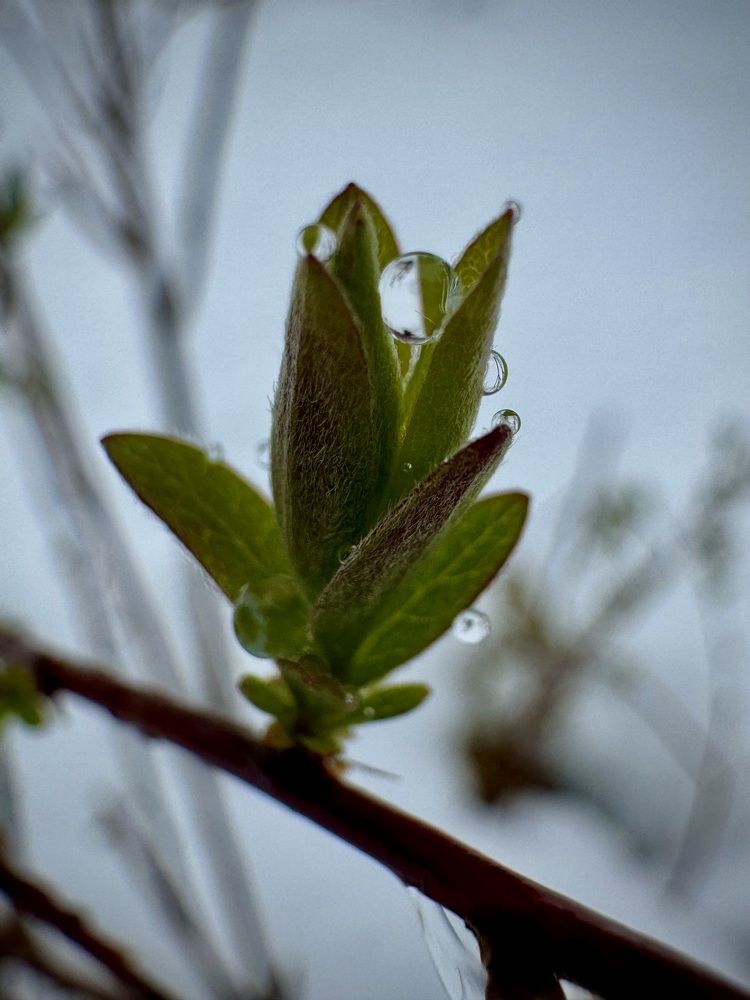 Фотография автора Евгения Елисеева