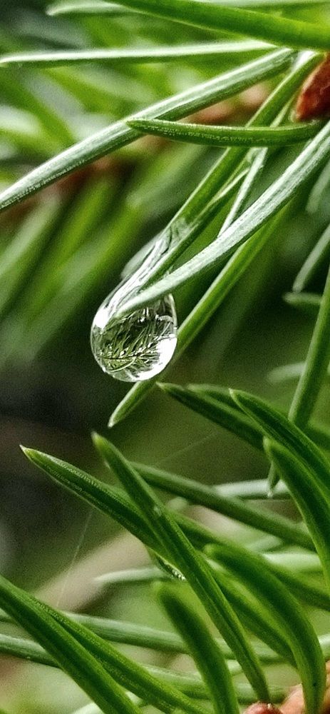 Photograph by Татьяна Солтан