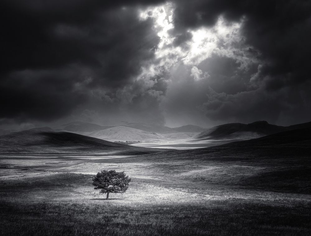 Photograph by Татьяна Бирюкова