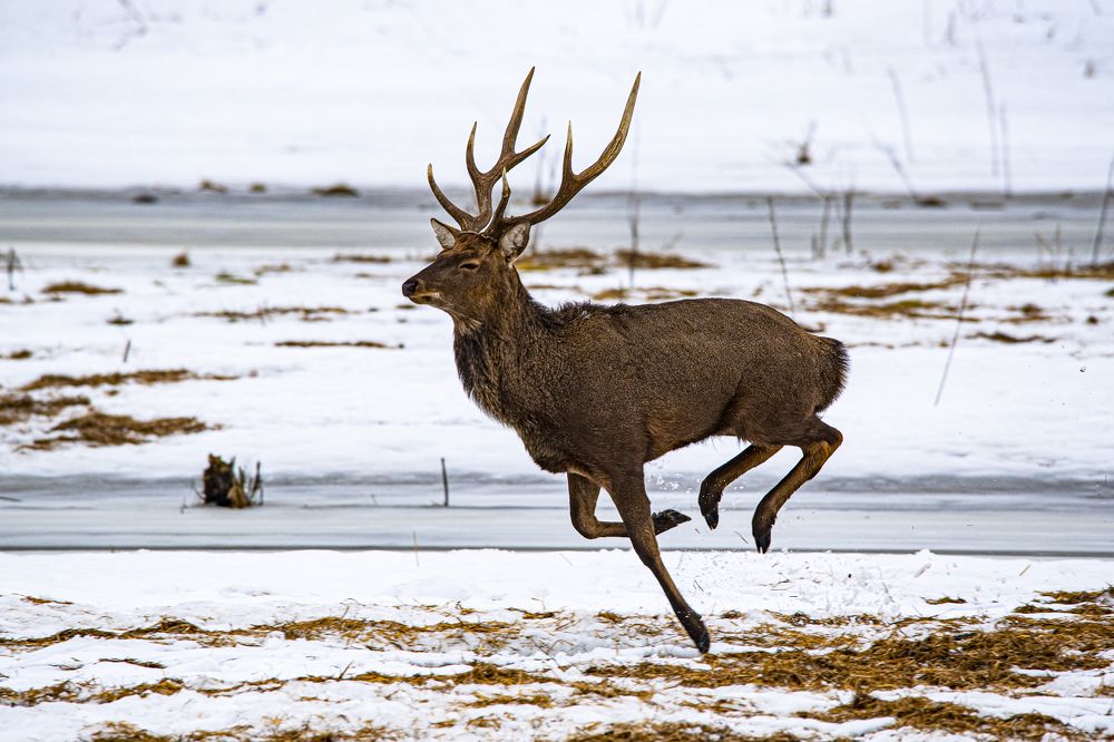 Photograph by Алексей Шаскольский