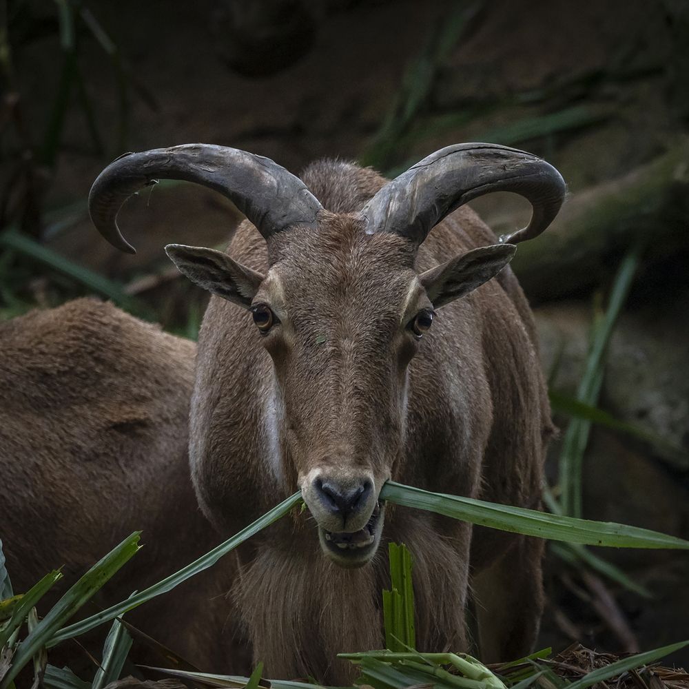 Photograph by Lugyanti Sukrisman