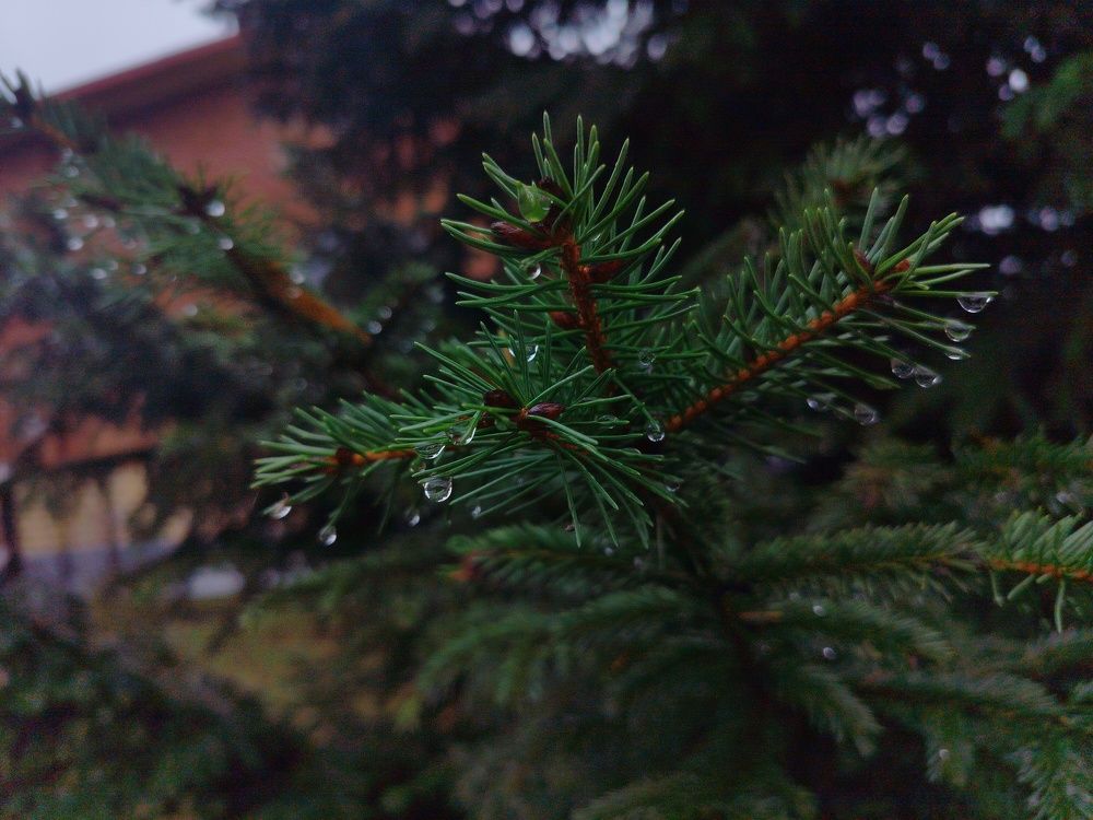 Фотография автора Алина Фирсова