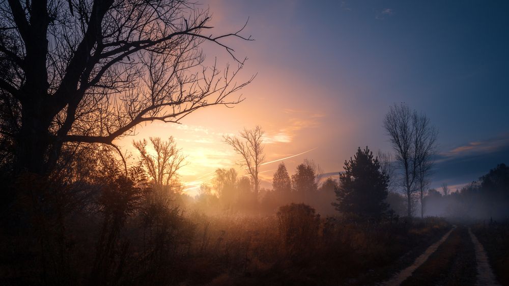 Photograph by Сергей Кочетов