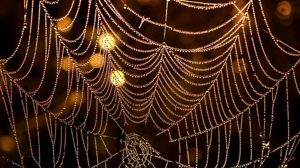 Photograph by Сергей Кочетов