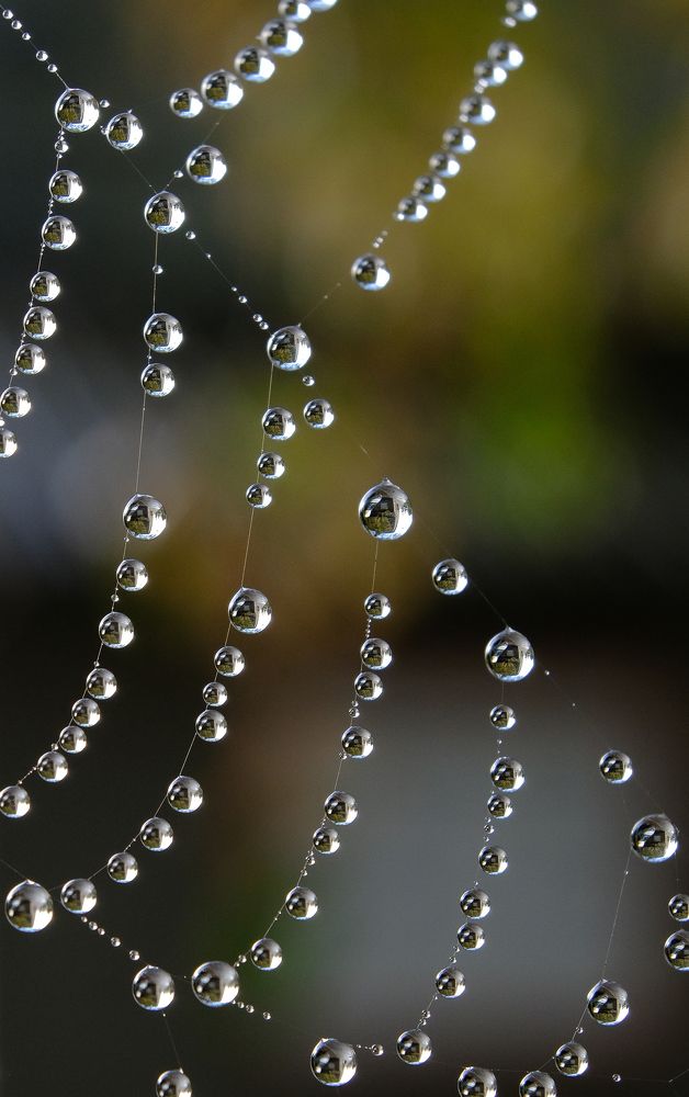 Photograph by Александр Высоцкий