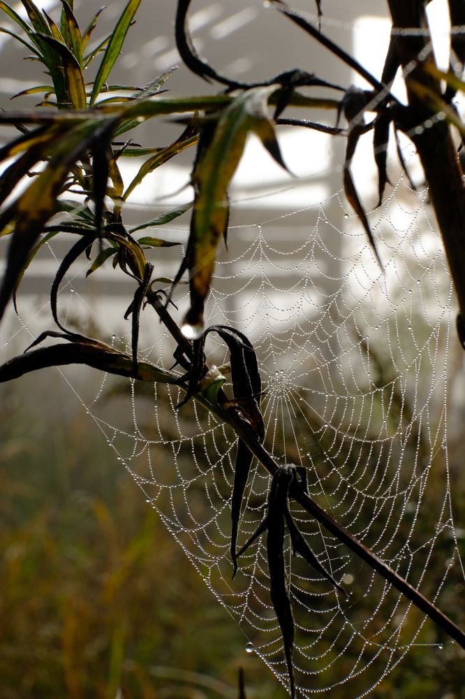 Фотография автора Александр Высоцкий