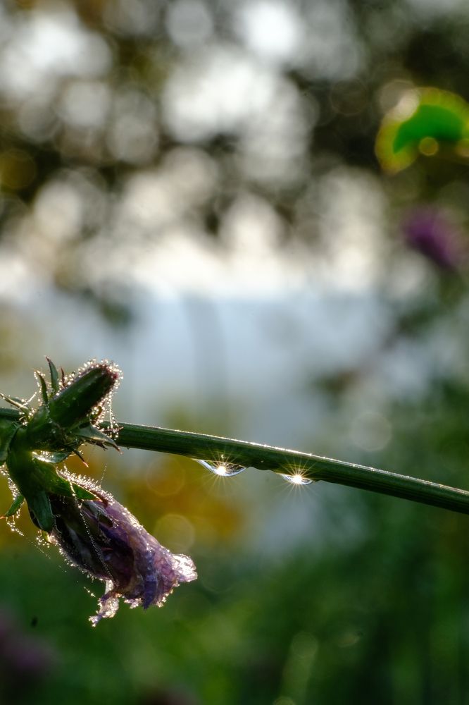 Фотография автора Александр Высоцкий
