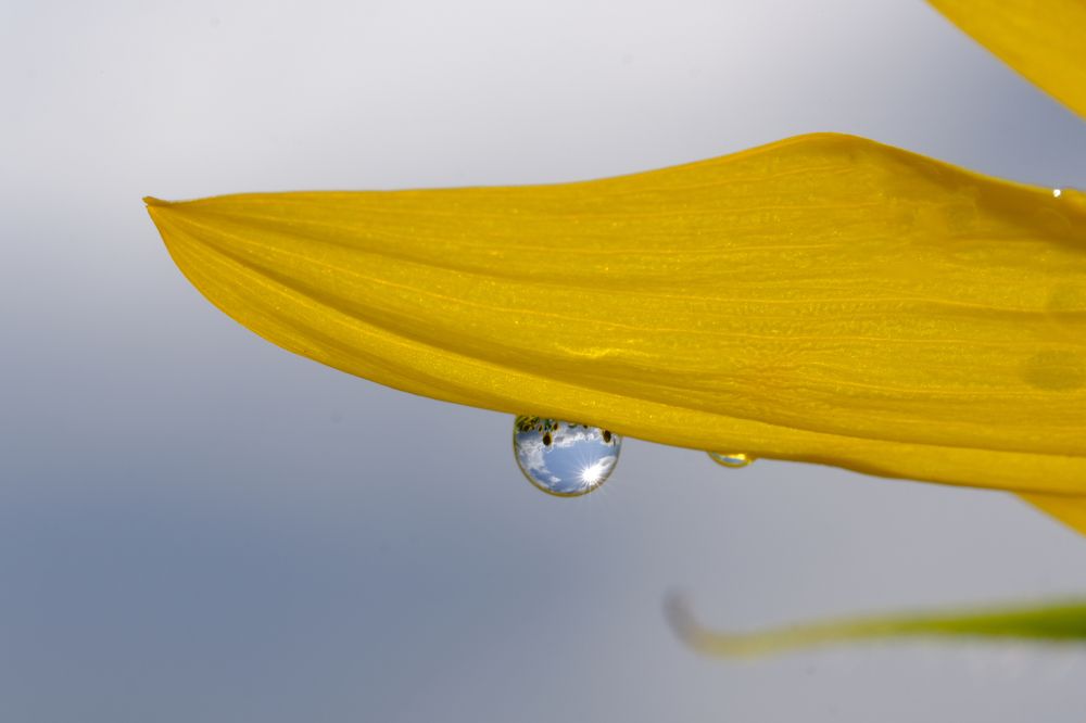 Фотография автора Александр Высоцкий
