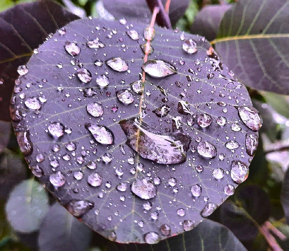 Photograph by 