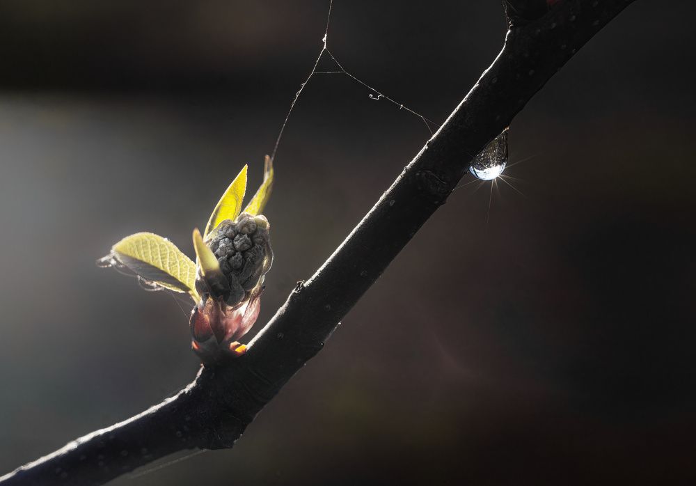 Фотография автора Валерий Лушин