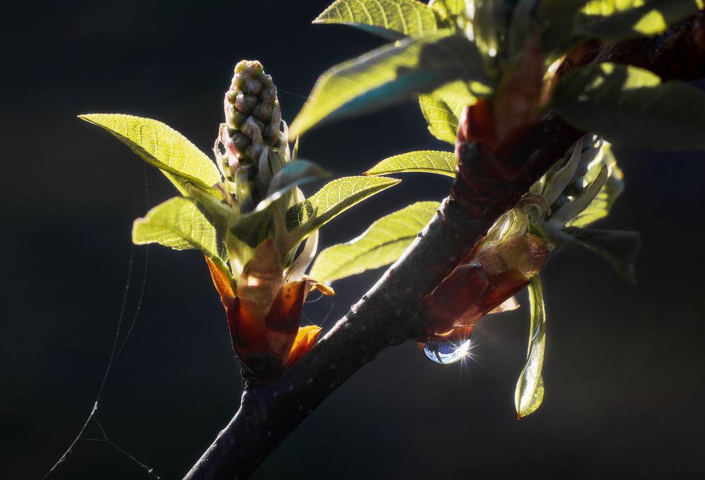 Фотография автора Валерий Лушин