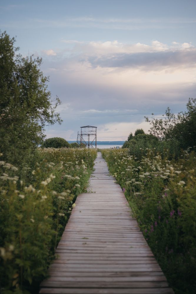 Photograph by Alexey Sapozhnikov