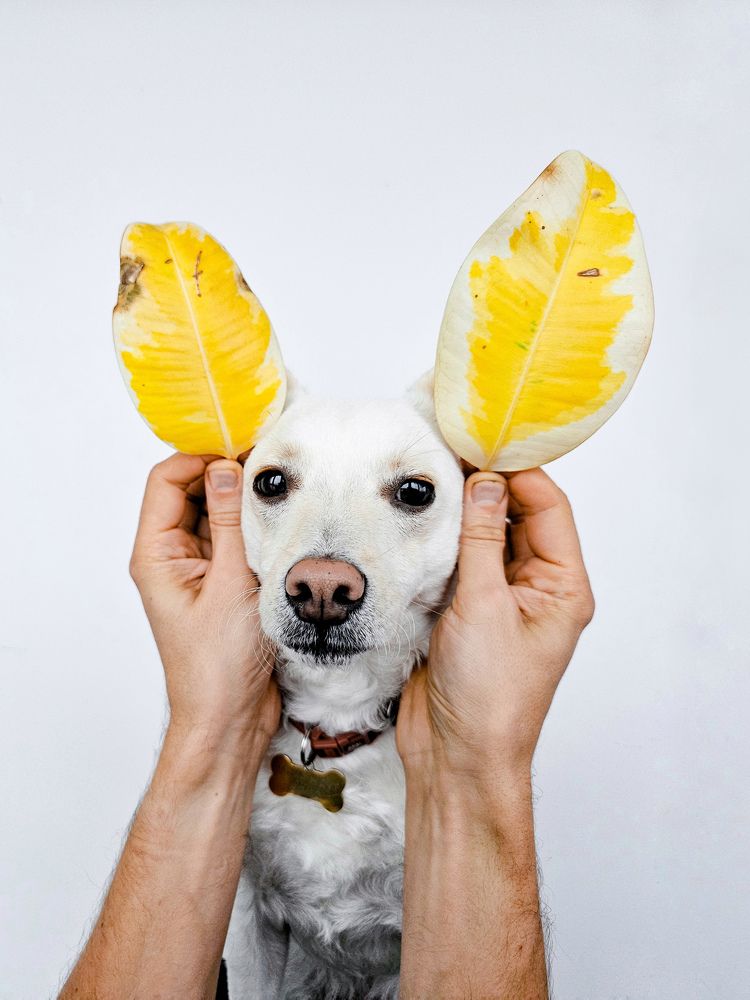 Фотография автора Ольга Шишук