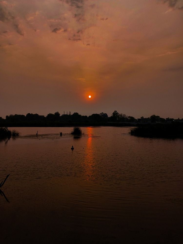 Photograph by Vanshika Srivastava