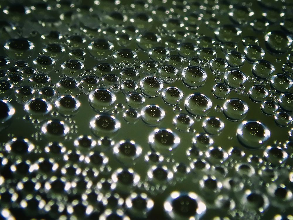 Photograph by Виталий Павлов