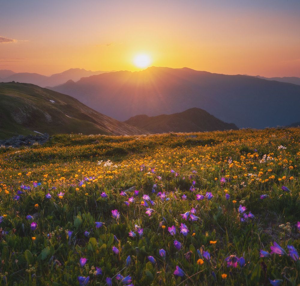 Photograph by Кахарова Наргиза