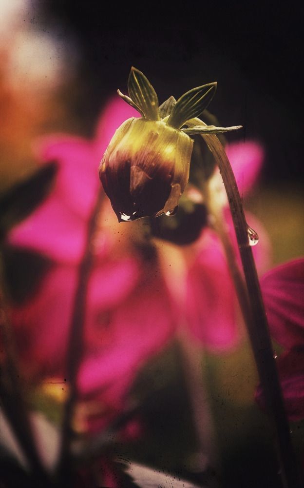 Photograph by Зыкова Мария