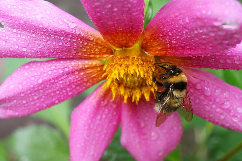 Photograph by Лилия Голд