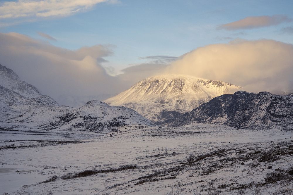 Photograph by Renee Johansson