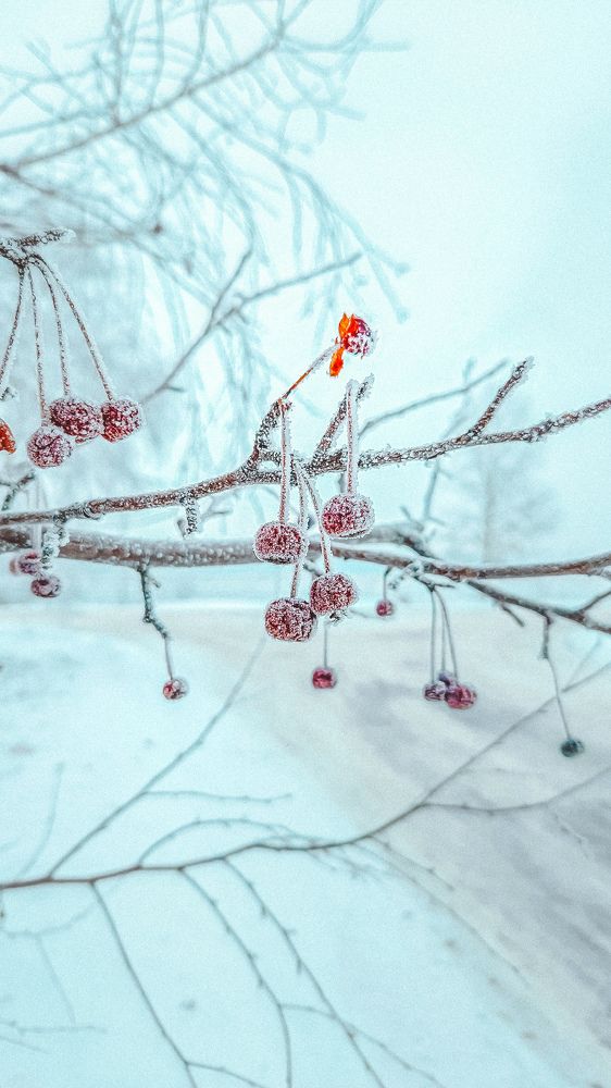 Photograph by Наталья Тополевская