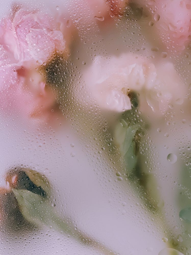 Photograph by Виктория Дворецкая