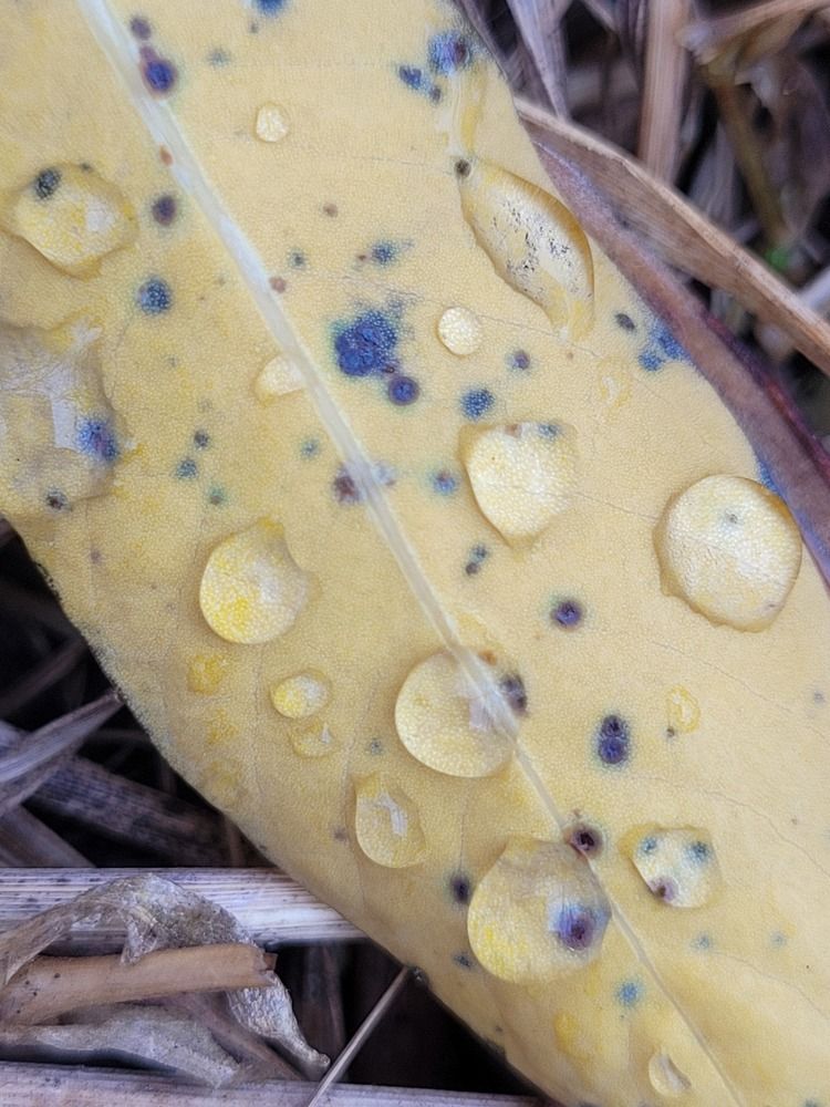 Фотография автора Казакова Людмила Ивановна