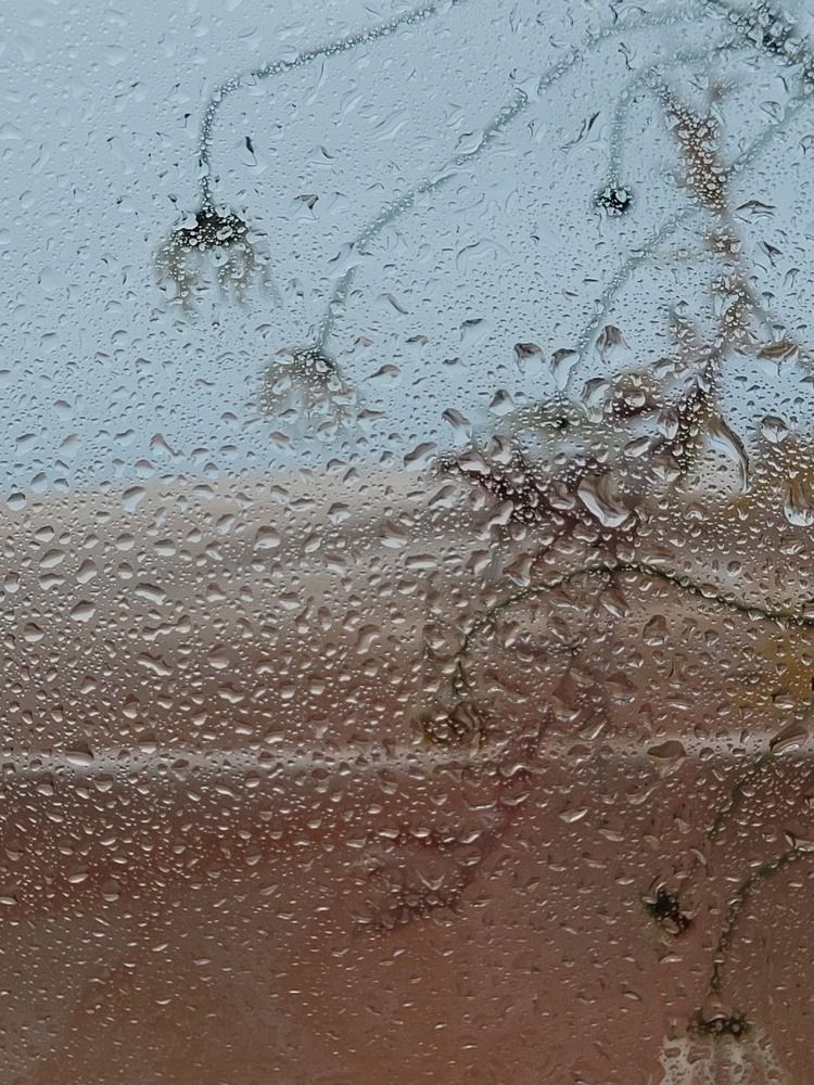 Фотография автора Казакова Людмила Ивановна