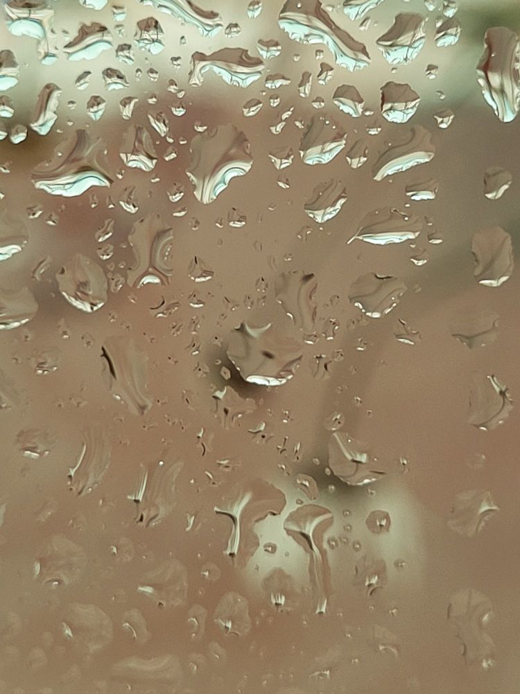 Фотография автора Казакова Людмила Ивановна