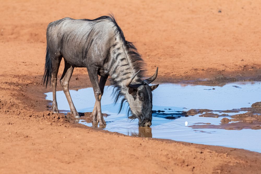 Photograph by Елена Захарова