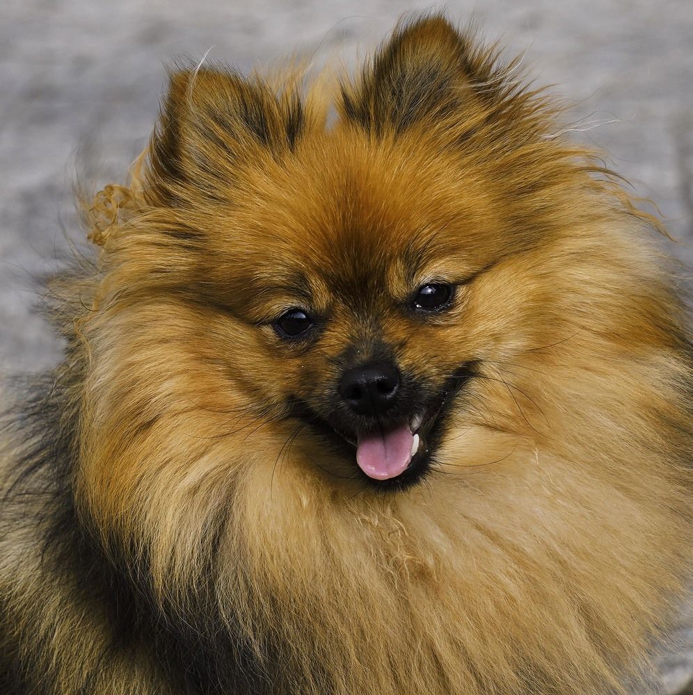 Photograph by Raed Victor Saad