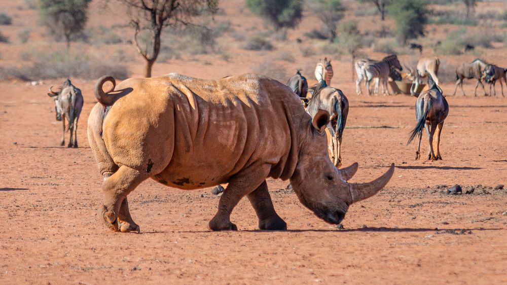 Photograph by Елена Захарова